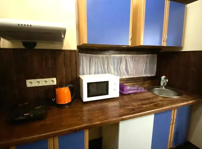 в центрі на вулиці лесі українки 19 Lviv